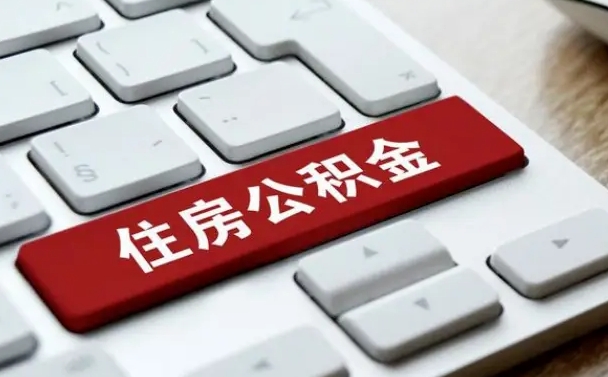 馆陶公积金公司交的部分怎么提取（公积金提取公司缴纳部分）